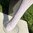 Trachtenstrümpfe ❖ Kniestrümpfe mit Ajourmuster ❖ weiß