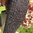 elegante Strumpfhose mit Rautenmuster ❖ schwarz