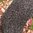 elegante Strumpfhose mit Rautenmuster ❖ schwarz