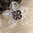 handgefertigte Blütenhaarnadel 3er Set ❖ flieder