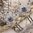 handgefertigte Blütenhaarnadel 3er Set ❖ capri