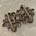 Schürzenschliesse ❖ antik bronze