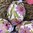 handbemalte Ostereier ❖ Blüten flieder