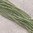 Wachsperlen lindgrün ❖ 2,5 mm