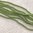 Wachsperlen apfelgrün ❖ 2 mm