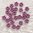 Perlenblume cyclam ❖ 5 mm
