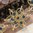 handgefertigte Blütenhaarnadel 3er Set ❖ capriblau