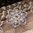 handgefertigte Blütenhaarnadel 2er Set ❖ Perle rosa
