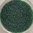 Rocailles ❖ Glasperlen tannengrün
