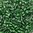 Rocailles ❖ Glasstifte grasgrün