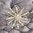 handgefertigte Blütenhaarnadel 3er Set ❖ silber