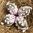 handbemalte Ostereier ❖ Maiglöckchen flieder