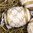 handbemalte Ostereier ❖ Fabergé weiß