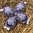 handgekratzte Ostereier ❖ dunkelblau
