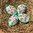 handbemalte Ostereier ❖ Blumenstrauss apfelgrün