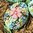 handbemalte Ostereier ❖ Blumenstrauß apfelgrün