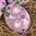 handbemalte Ostereier ❖ Blüten flieder