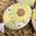 handbemalte Ostereier ❖ Margarite gelb-grün