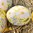 handbemalte Ostereier ❖ Bauernmalerei gelb