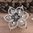 handgefertigte Blütenhaarnadel 3er Set ❖ grau